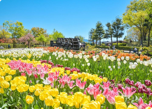 Outdoor Scenic Area
